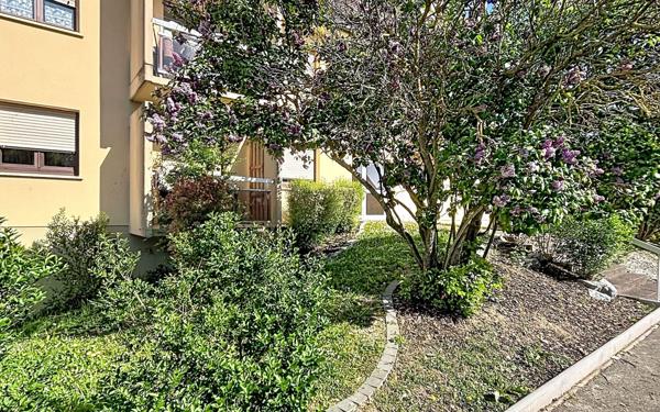 Appartement à vendre    2 pièces • 41,10 m2 Mittelhausbergen