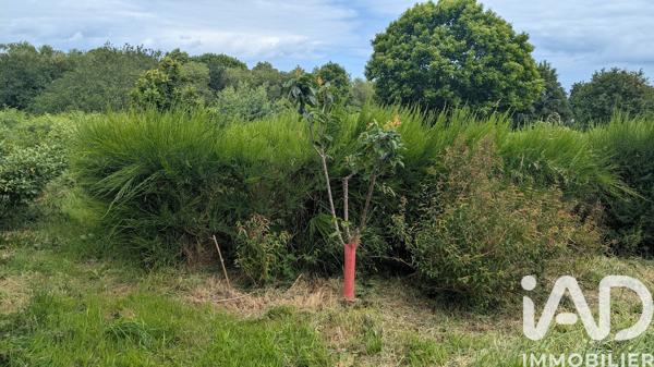 Terrain à vendre 2 384 m² Plouha