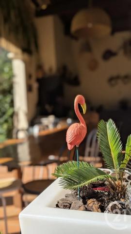 Maison à vendre  8 pièces - 197,04 m 2   AIMARGUES  - 30