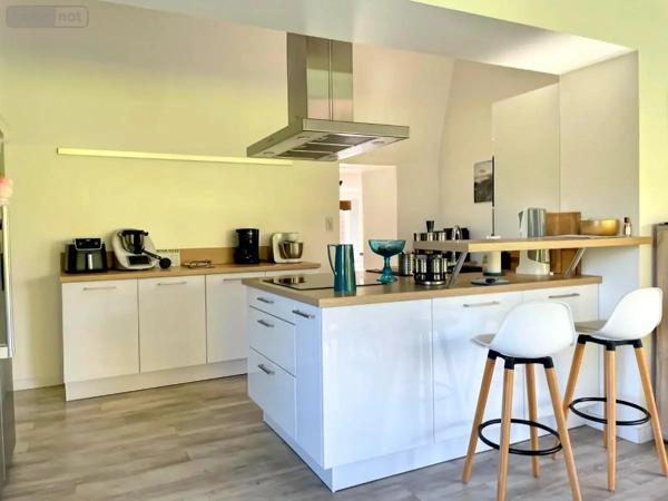 Achat - Maison Montauban-de-Bretagne 35360 9 pièces 250 m 2 7729 m 2