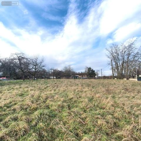 Achat - Terrain à bâtir Montceaux-lès-Vaudes 10260 300 m 2 1085 m 2