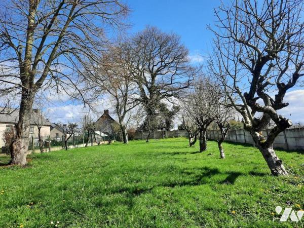 Immeuble commercial + 2 logements