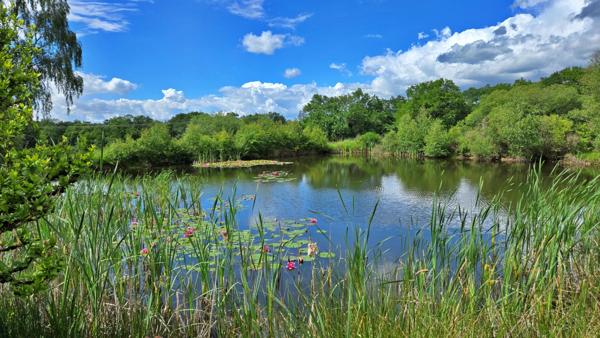 TERRAIN DE LOISIR AVEC ETANG - PRAIRIE ET BATIMENT - ENVIRONNEMENT CALME ET CAMPAGNE