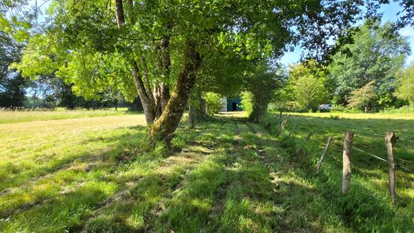TERRAIN DE LOISIR AVEC ETANG - PRAIRIE ET BATIMENT - ENVIRONNEMENT CALME ET CAMPAGNE