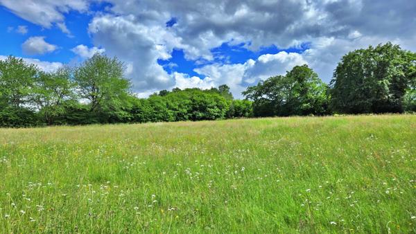 TERRAIN DE LOISIR AVEC ETANG - PRAIRIE ET BATIMENT - ENVIRONNEMENT CALME ET CAMPAGNE