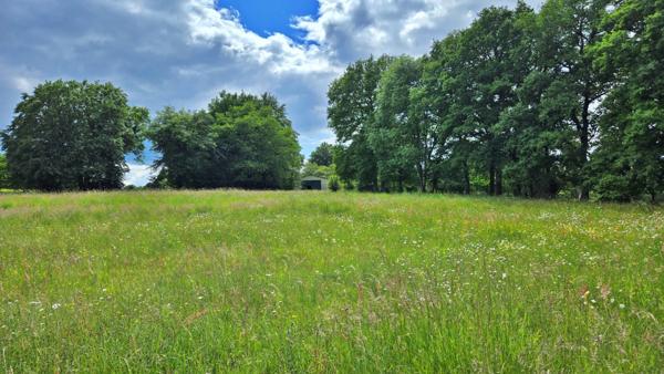 TERRAIN DE LOISIR AVEC ETANG - PRAIRIE ET BATIMENT - ENVIRONNEMENT CALME ET CAMPAGNE