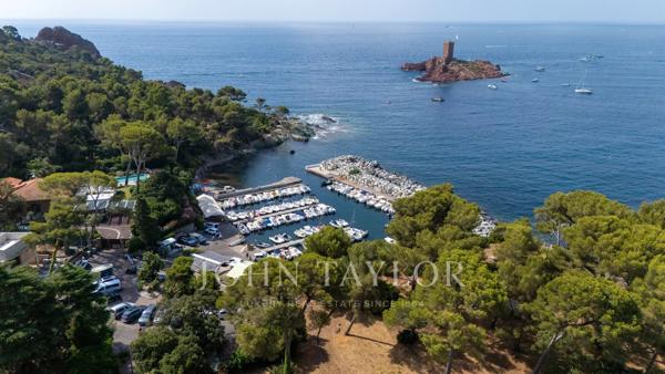Terrain d’Exception 1 Hectare Vue Mer