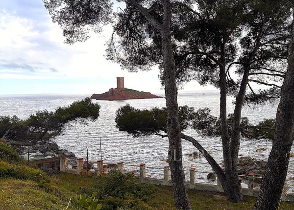 Terrain d’Exception 1 Hectare Vue Mer