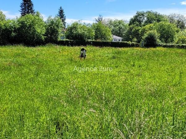 Terrain - Proximite oloron-sainte-marie - Réf.:205169 PROXIMITE OLORON - TERRAIN A VENDRE DE 3 983 M² DANS SECTEUR CALME -