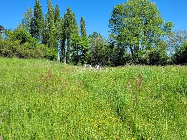 Terrain - Proximite oloron-sainte-marie - Réf.:205169 PROXIMITE OLORON - TERRAIN A VENDRE DE 3 983 M² DANS SECTEUR CALME -