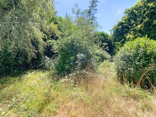 Maison Langolen - 2 chambres - 800m² de terrain