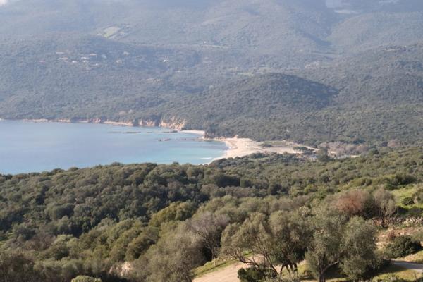 Charmant T2 dans résidence "3 étoiles", Corse du sud (20)