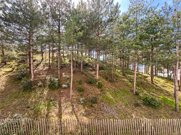 Appartement 2 pièce(s)