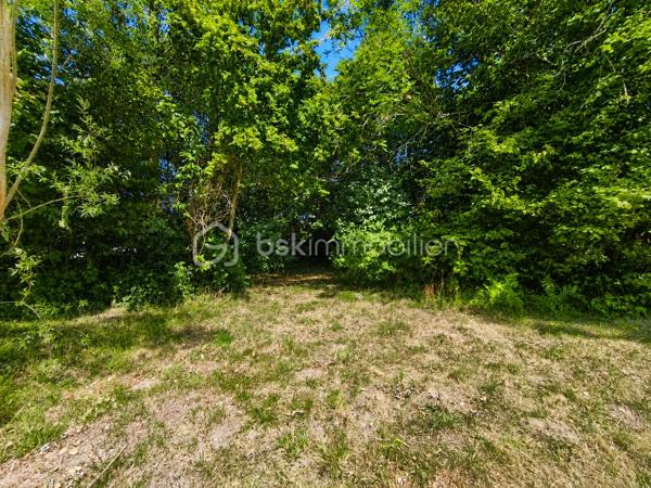 Vous recherchez un lieu de vie paisible, au cœur d'un environnement naturel et loin de l'agitation ? Découvrez cette authentique maison en pierre d'environ 85 m², située sur la commune de Laprugne.

Avec ses murs en pierre apparente, ses poutres et ses tomettes, elle a conservé tout le charme de l'ancien tout en bénéficiant de nombreux travaux de rénovation déjà réalisés.

Au rez-de-chaussée, vous découvrirez une agréable pièce de vie au caractère chaleureux, une cuisine récente aménagée et équipée ainsi qu'un WC indépendant.
À l'étage, le palier dessert une chambre ainsi qu'une seconde pièce de moins de 9 m², idéale en chambre d'enfant, bureau ou espace de télétravail, et une salle d'eau moderne avec douche à l'italienne.

Un véritable atout complète la propriété : une grange attenante d'environ 66 m² sur deux niveaux. Un bel espace offrant de nombreuses possibilités selon vos envies : atelier, stockage ou projet d'aménagement, sous réserve des autorisations nécessaires.

La maison a déjà bénéficié de nombreux travaux :
✔ Toiture refaite
✔ Isolation récente
✔ Électricité et plomberie refaites
✔ Cuisine et salle d'eau rénovées
✔ Huisseries PVC double vitrage
✔ Chauffage central par chaudière bois
✔ Assainissement individuel récent, avec quelques travaux restant à réaliser pour finaliser sa mise en conformité

Quelques finitions permettront encore aux futurs propriétaires de personnaliser les lieux et de les adapter pleinement à leurs envies.

À l'extérieur, la propriété dispose d'une superficie totale de 1 522 m² répartie sur plusieurs parcelles. Une partie du terrain se situe juste en face de la maison, de l'autre côté d'une petite route de campagne, permettant de profiter facilement.

Cette maison s'adresse avant tout à ceux qui recherchent le charme de l'ancien, de l'espace et une vie au calme, dans un secteur rural et préservé.

Une propriété pleine de caractère, avec encore de belles possibilités pour imaginer la suite de son histoire.

📞 Pour davantage de renseignements ou organiser une visite, n'hésitez pas à me contacter.