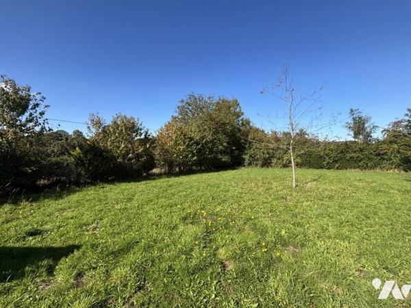 SECTEUR HAMARS - MAISON EN PIERRE AVEC JARDIN 