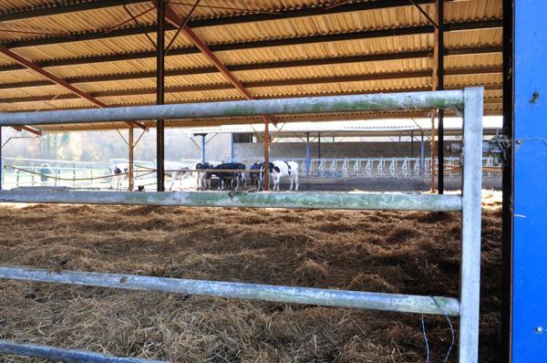 Commerce à vendre à CHAMPEAUX ET LA CHAPELLE POMMI (24340) - Dordogne