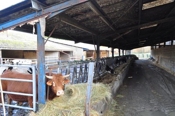 Commerce à vendre à CHAMPEAUX ET LA CHAPELLE POMMI (24340) - Dordogne