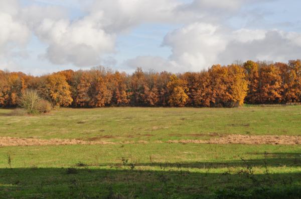 Commerce à vendre à CHAMPEAUX ET LA CHAPELLE POMMI (24340) - Dordogne