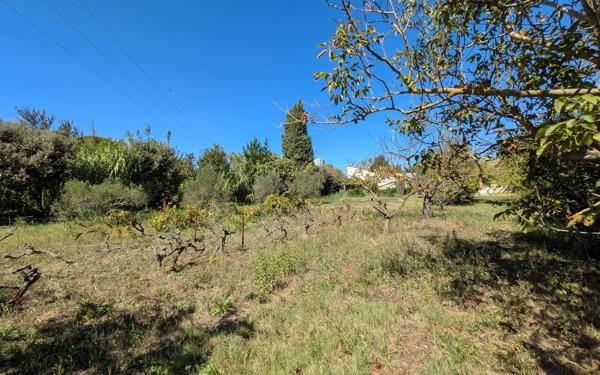Terrain à vendre