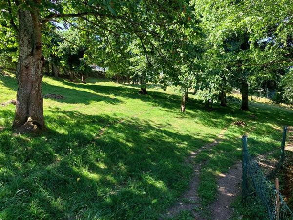 Maison Bolbec 6 pièce(s) 144 m2