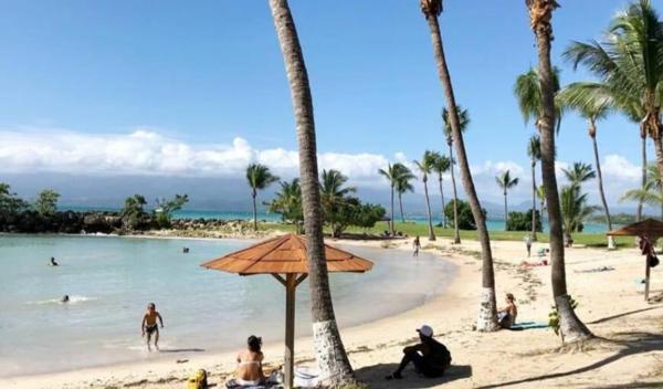 Magnifique appartement vue mer T2