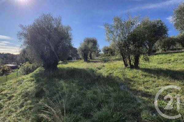 Terrain à vendre  1100 m 2   CAGNES SUR MER  - 06