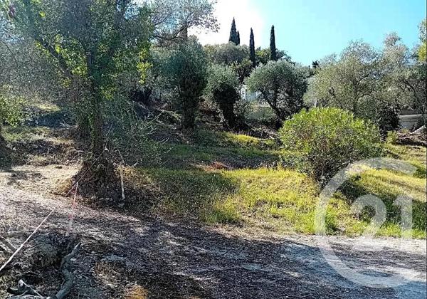 Terrain à vendre  1100 m 2   CAGNES SUR MER  - 06