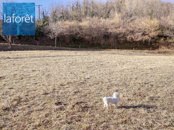 Achat terrain Prats-de-Mollo-la-Preste - 94 650 €