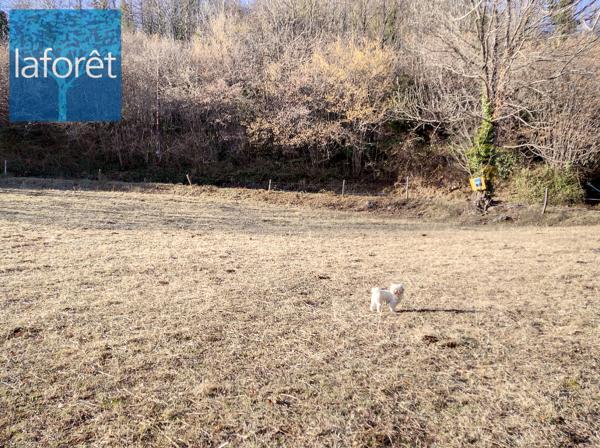 Achat terrain Prats-de-Mollo-la-Preste - 94 650 €