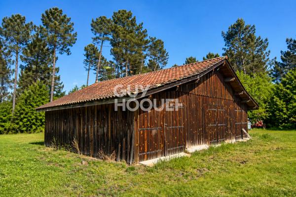 A LOUER : Maison à Rion Des Landes (40370)