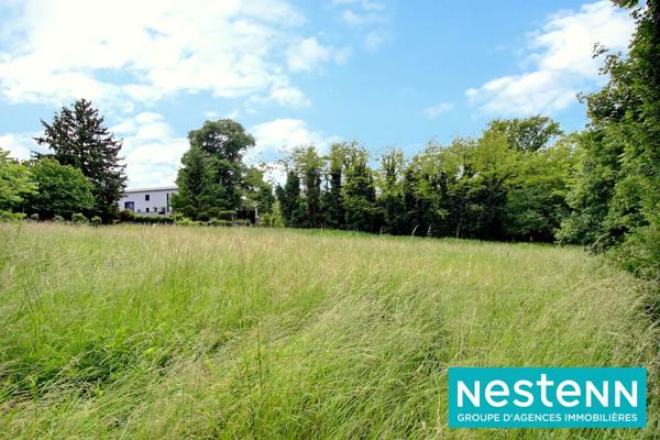 Terrain Jons 1800 m2 - fonds d'impasse - proche canal - calme