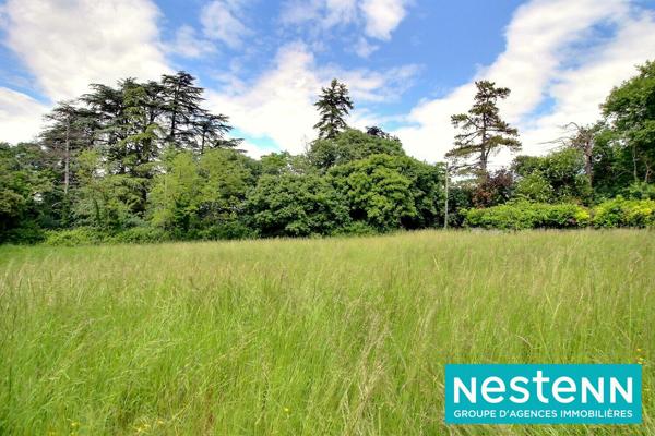 Terrain Jons 1800 m2 - fonds d'impasse - proche canal - calme