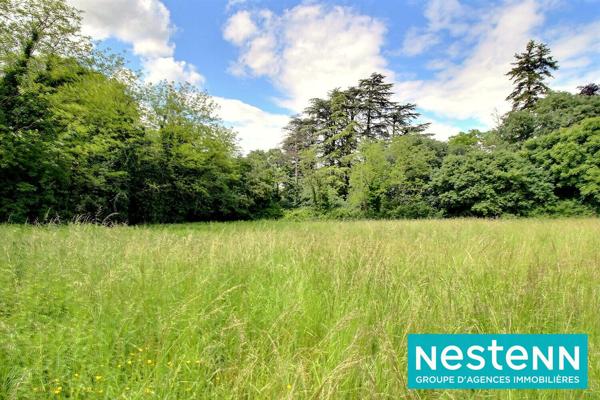 Terrain Jons 1800 m2 - fonds d'impasse - proche canal - calme