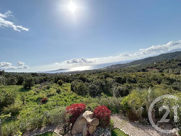 Maison à vendre  8 pièces - 209,65 m2 ALBITRECCIA - 201