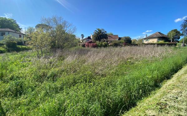 Terrain à vendre    Orthez