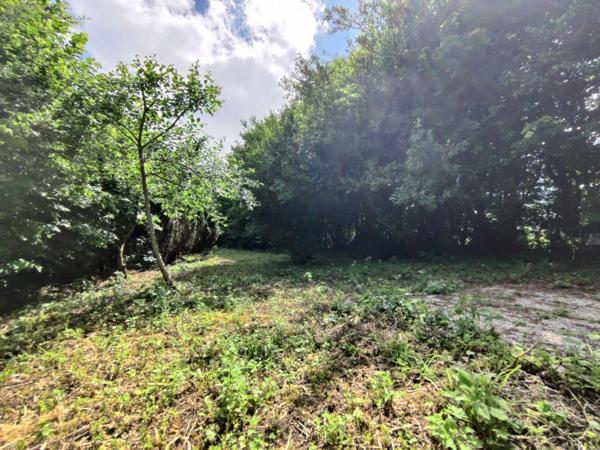 Fermette à vendre à Martigny dans l'Aisne (02500), ref : 100522501