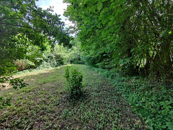 Fermette à vendre à Martigny dans l'Aisne (02500), ref : 100522501