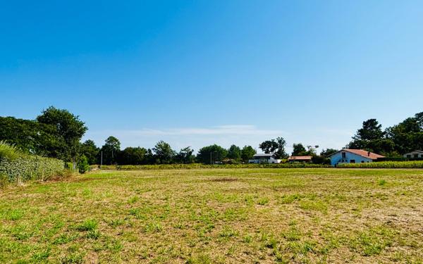 Terrain à vendre    Seignosse
