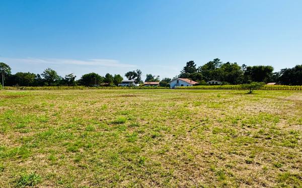 Terrain à vendre    Seignosse