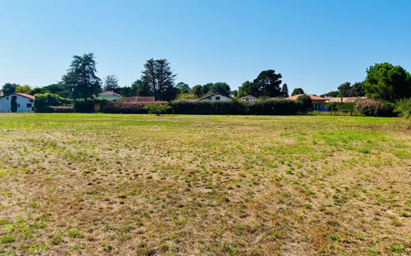 Terrain à vendre    Seignosse