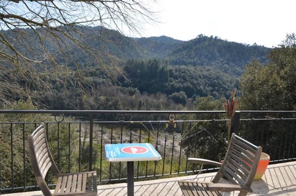 Vente / Maison et grand terrain