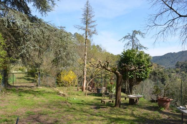 Vente / Maison et grand terrain