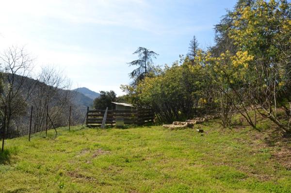 Vente / Maison et grand terrain