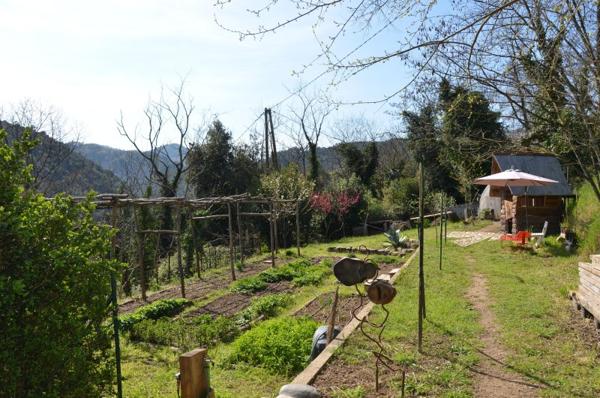 Vente / Maison et grand terrain