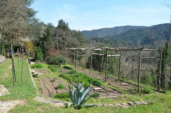 Vente / Maison et grand terrain