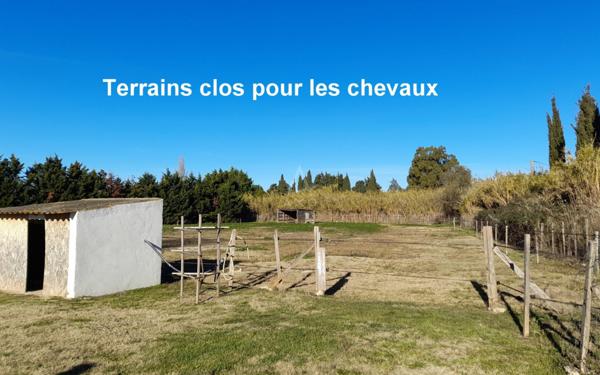 Propriété d'exception aux portes de la Camargue