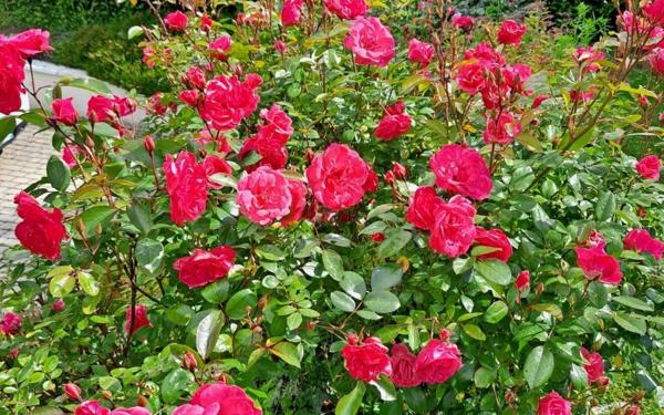 Maison à vendre    5 pièces • 147,15 m2 Chevry