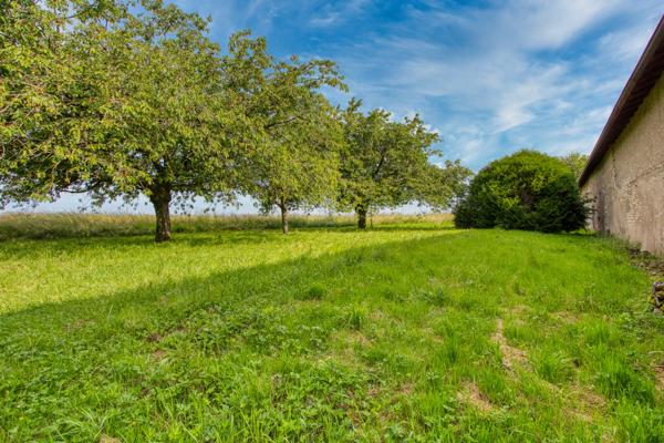 Montbellet (71260) Propriété à fort potentiel + Terrains constructibles