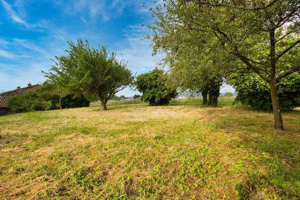 Montbellet (71260) Propriété à fort potentiel + Terrains constructibles