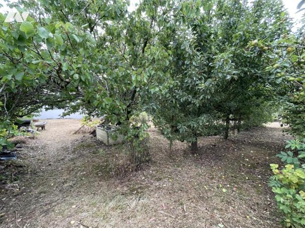 Terrain destiné à la construction d'une maison à usage d'habitation.